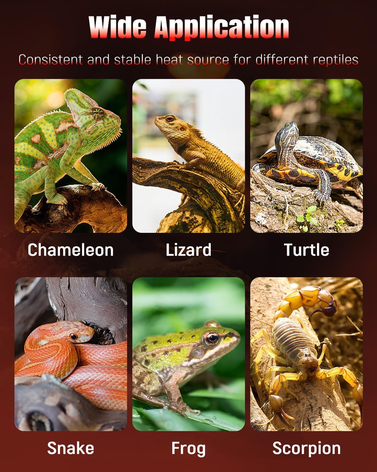 Pawfly 14 W Reptile Heat Pad 11 x 5.9 Inch Reptile Heating Pad Under Tank Terrarium Safe Fast Heating Mat Heat Mat for Turtles Frogs Snakes Lizards Geckos Hermit Crabs Spiders & Other Reptiles