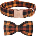 Fall Dog Collar with Bow, Black and Orange Print Fall Pet Collars Medium