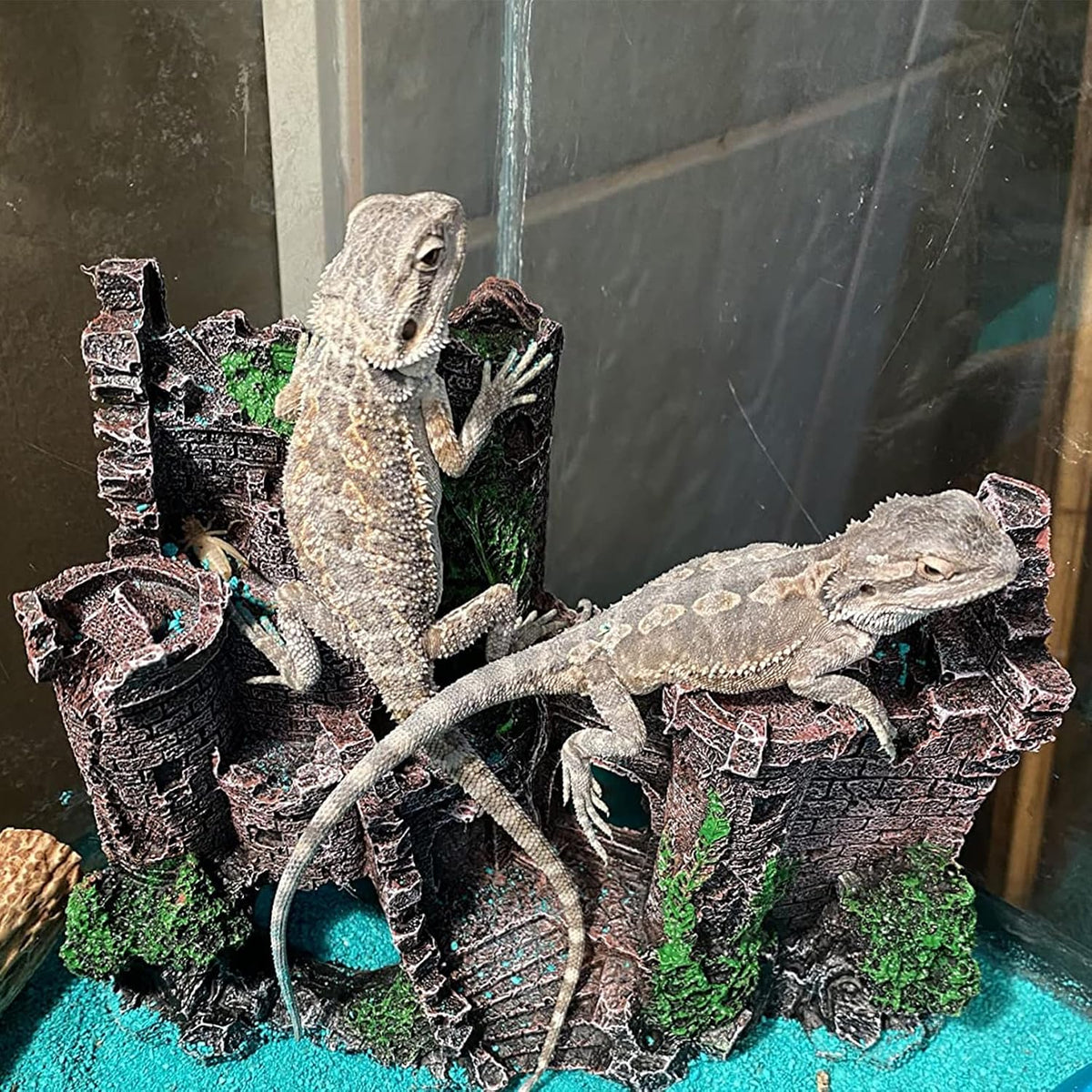 Tank Accessories for Bearded Dragon Include Resin Classical Castle Reptile Hammocks Climb Habitat Hanging Jungle Vines Flexible Leaves Climbing Decor for Chameleon Lizard Gecko Spider(6 PCS)