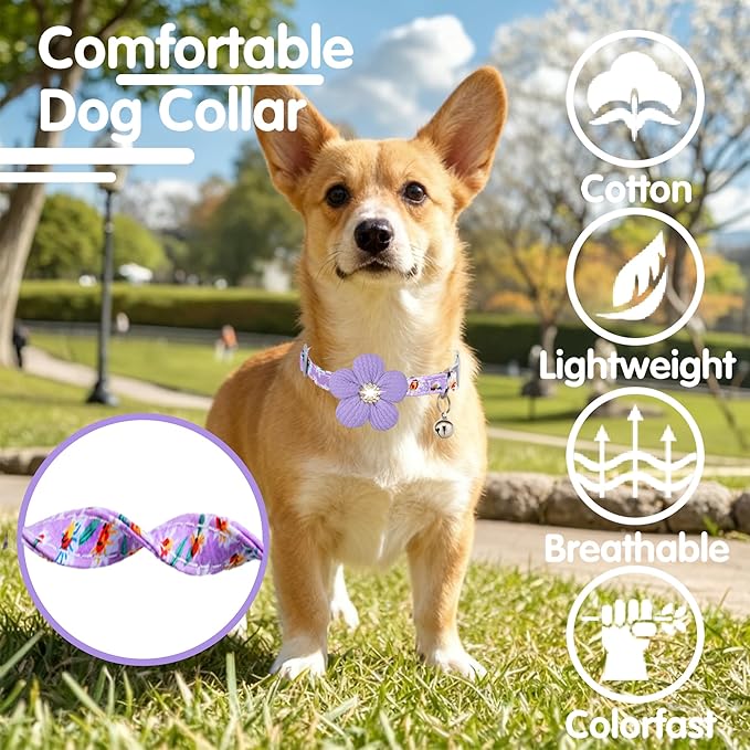 Small Dog Collar with Flower, Puppy Collar - Image 4