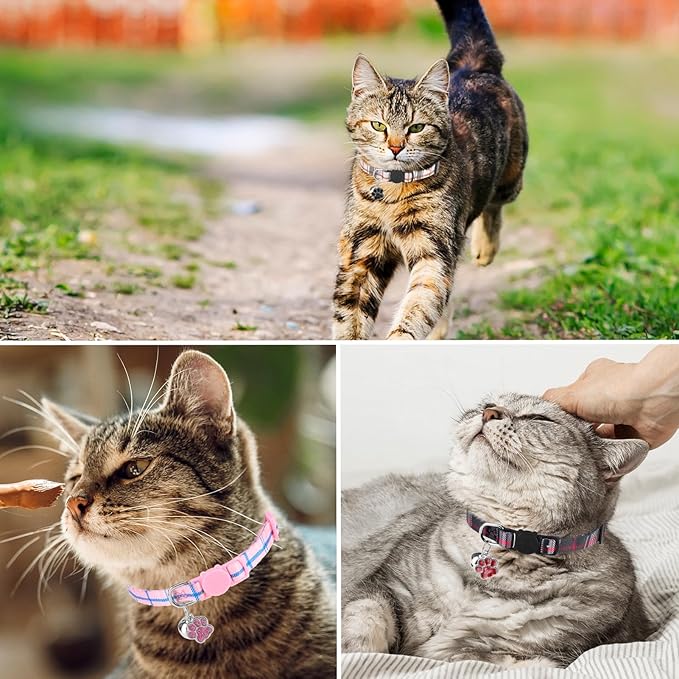 SCENEREAL Breakaway Cat Collar - Image 6
