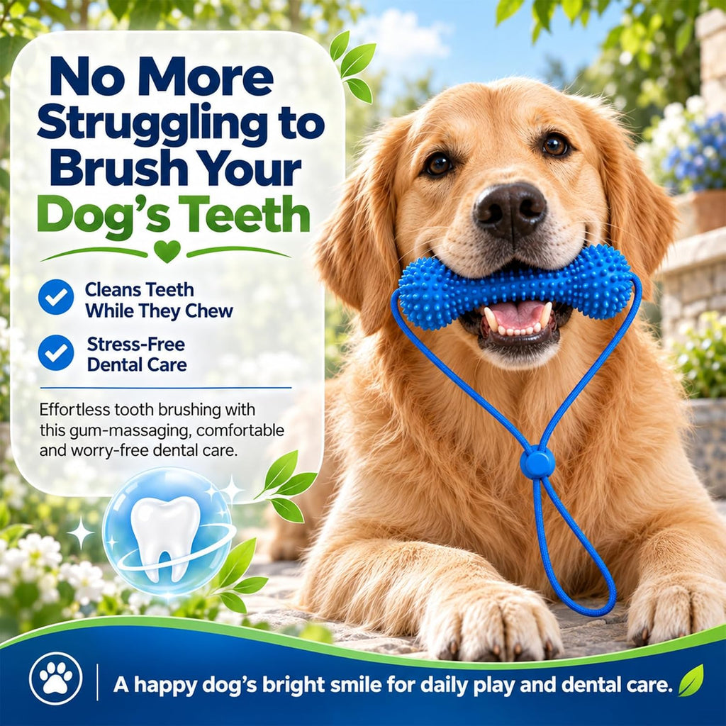 Dual-Action Canine Dental Prop, Dog Dental Chew Toy for Easier Teeth Brushing, Premium Pet Oral Care Accessory，Brushing Toothbrush Tools Care Chew Toys（1PCS）