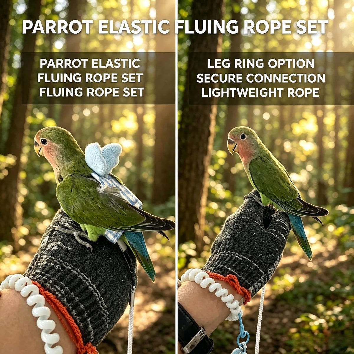Dual-Use Bird Harness & Bungee Leash Set w/Wings, 3 Rings, Blue, Size S