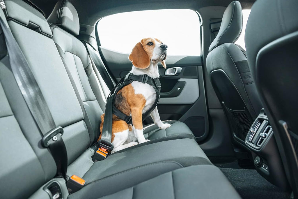 Thule Cappy Dog Harness L, Seatbelt Passthrough, Leash Loop, Step-in Design