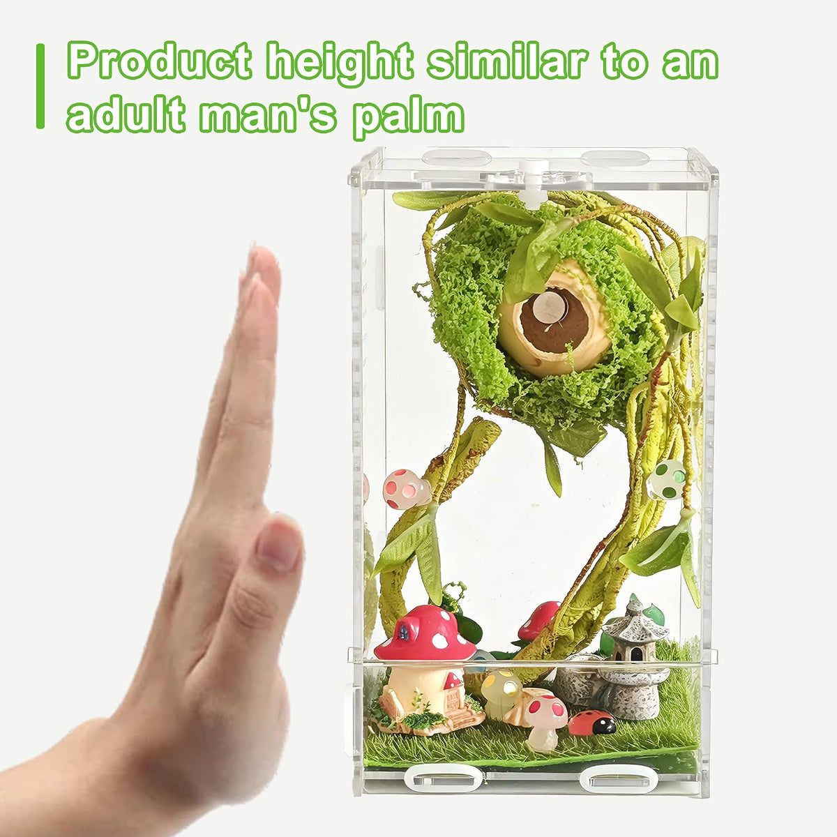 20 PCS Jumping Spider Enclosure Kit with Accessories,4.33"*4.13"*7.87"