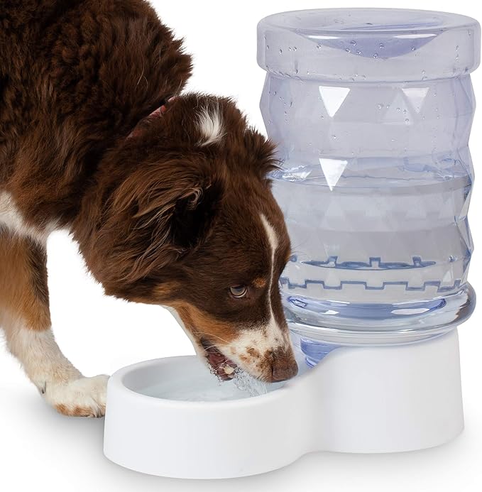 PetFusion H2O Gravity Pet Water Dispenser. Durable 2.5 Gallon Waterer Feeder. - Image 7