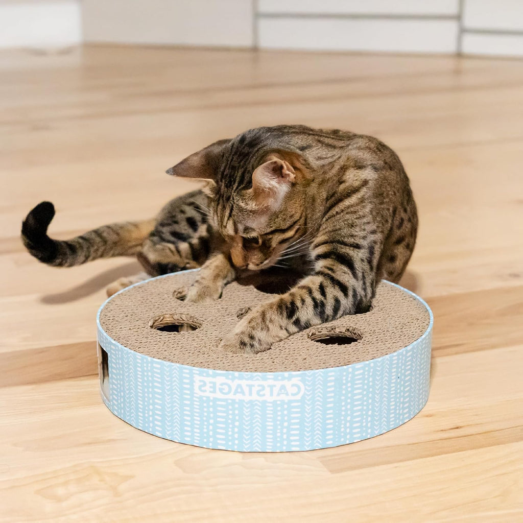 Catstages Scratch N' Hunt Interactive Cat Puzzle Toy with Scratcher, 11"