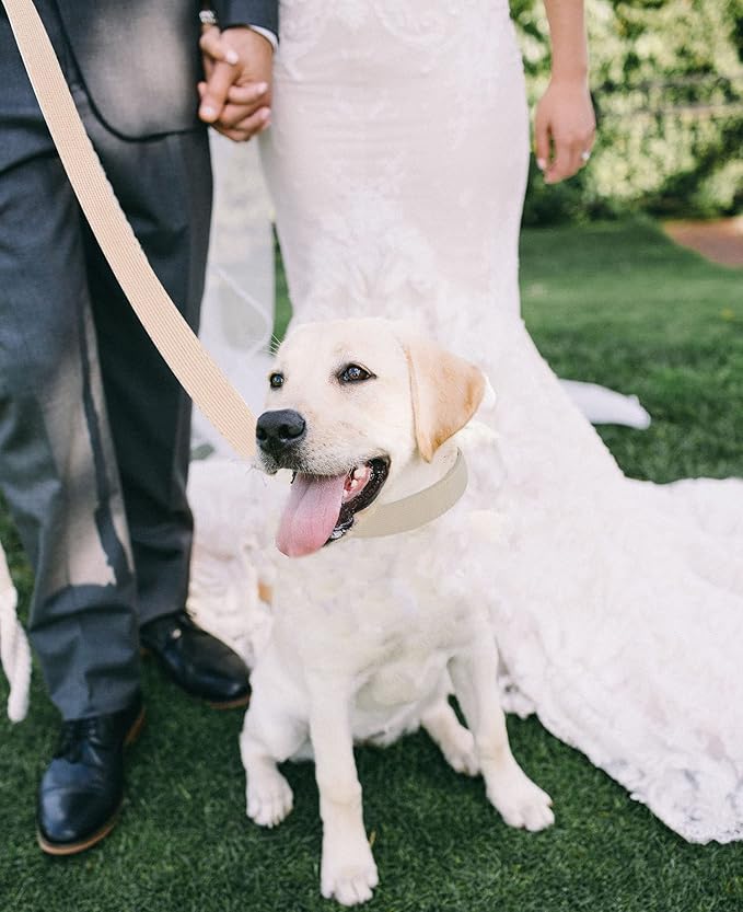 Soft Cotton Dog Collar with Metal Buckle Adjustable Heavy Duty Comfy Corduroy - Image 5