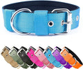 Heavy Duty Tactical Dog Collar by AaufiLux