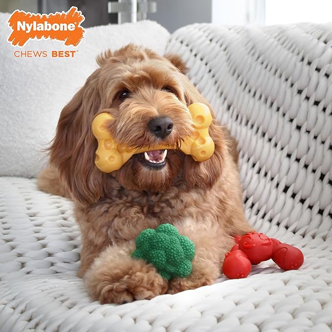 Nylabone Power Chew Toy Bundle, Cute Dog Toys - Image 2