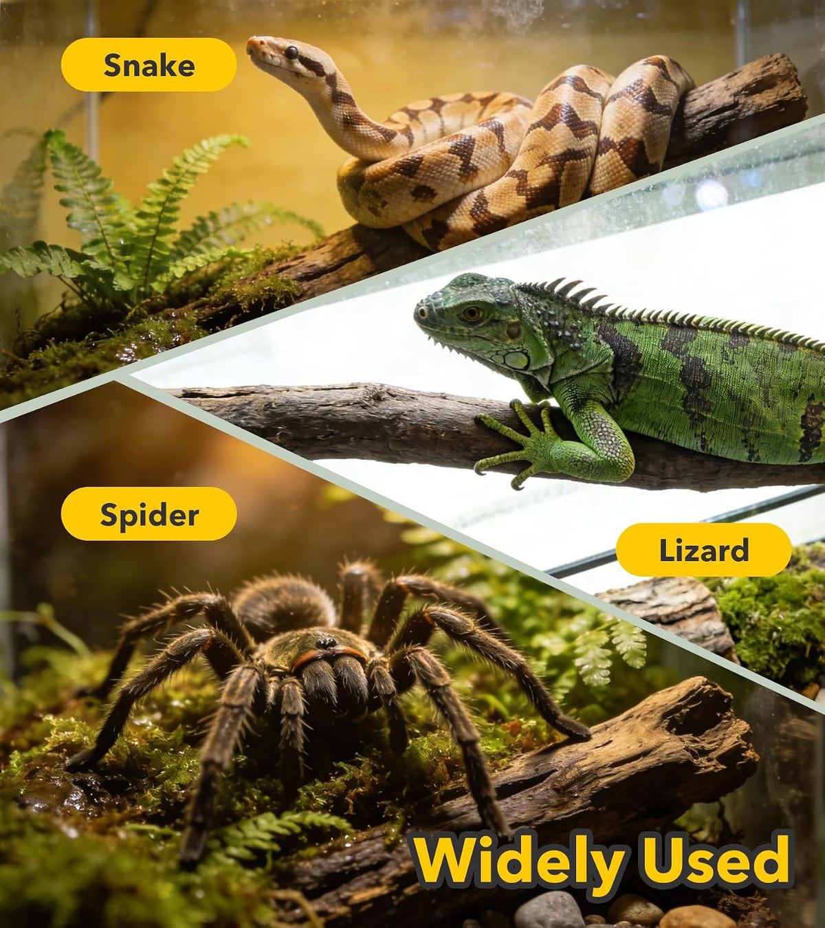 Snake Enrichment Toys,Ball Python Tank Accessories with Snake Climbing Accessories Hammock, Lizards Toy Activity Ball,Reptile Climbing Toys for Crested Gecko Bearded Dragon