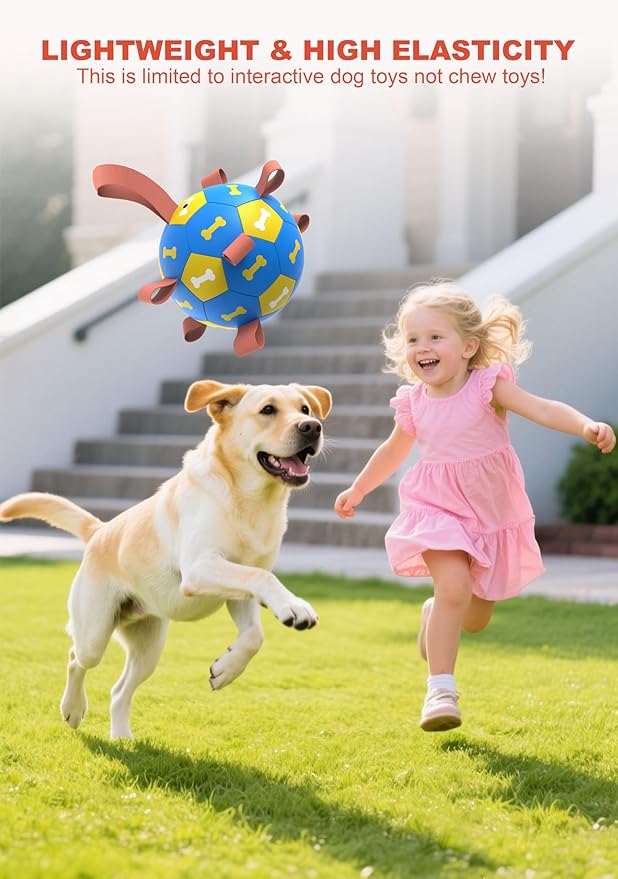 Amasiver Dog Soccer Ball Toys - Image 6