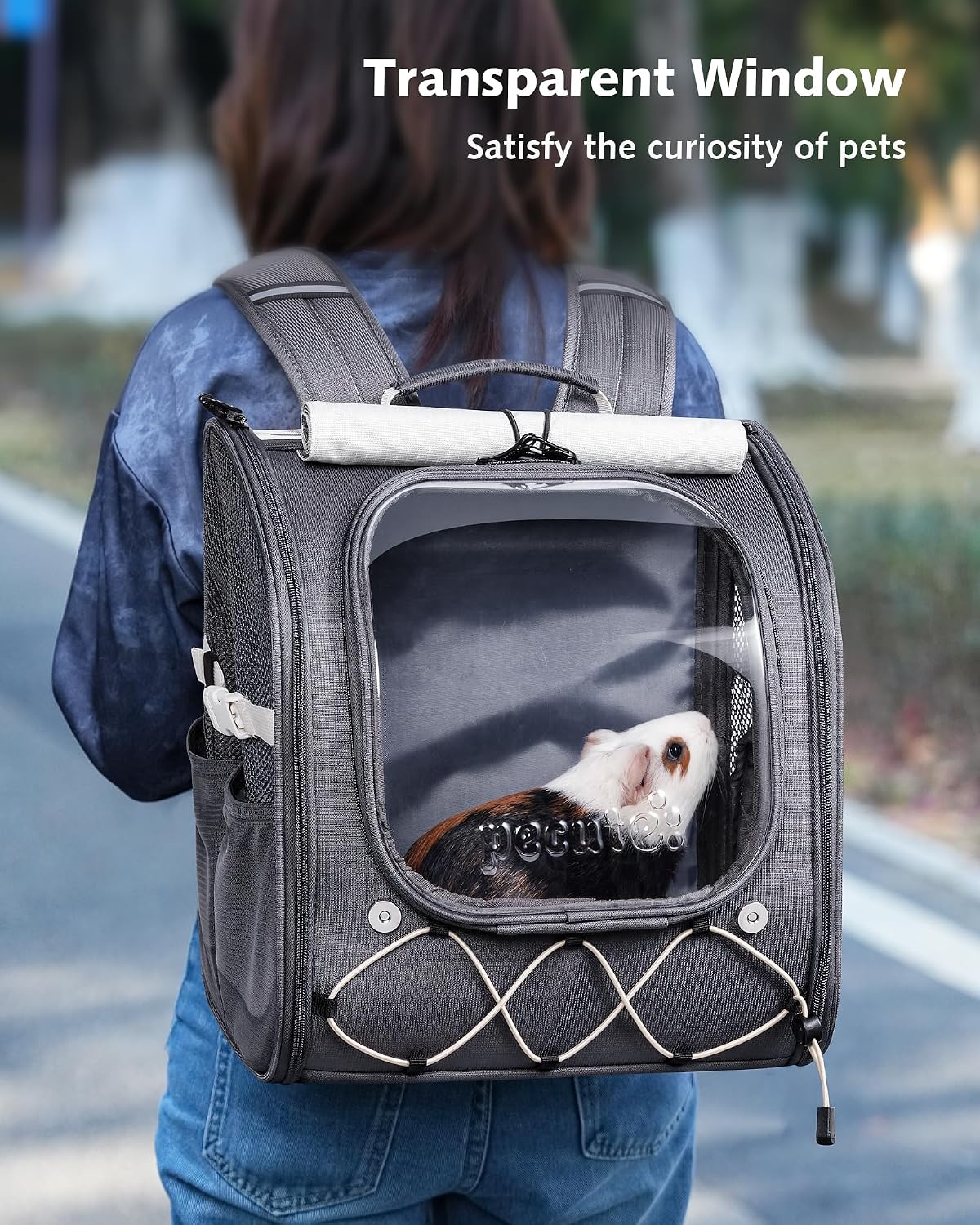 Pecute Small Animal Carrier Guinea Pig Backpack,with Bubble Window,Gray