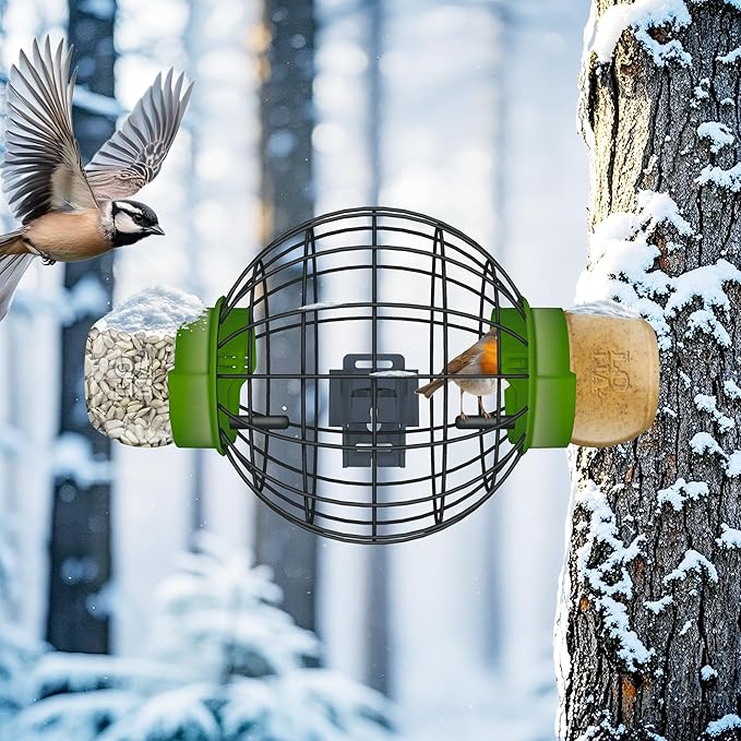 LONA Squirrel Proof Bird Feeding Cage - Image 4