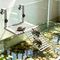 Hanging Turtle Basking Platform with Food Tray for 30-75 Gal Aquariums