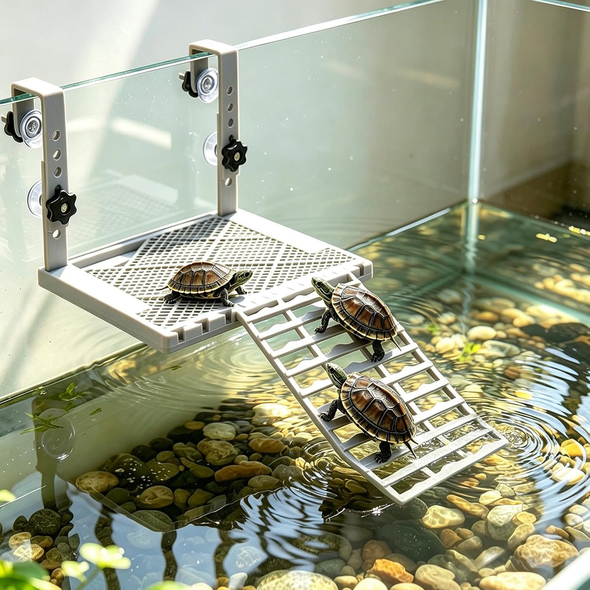 Hanging Turtle Basking Platform with Food Tray for 30-75 Gal Aquariums