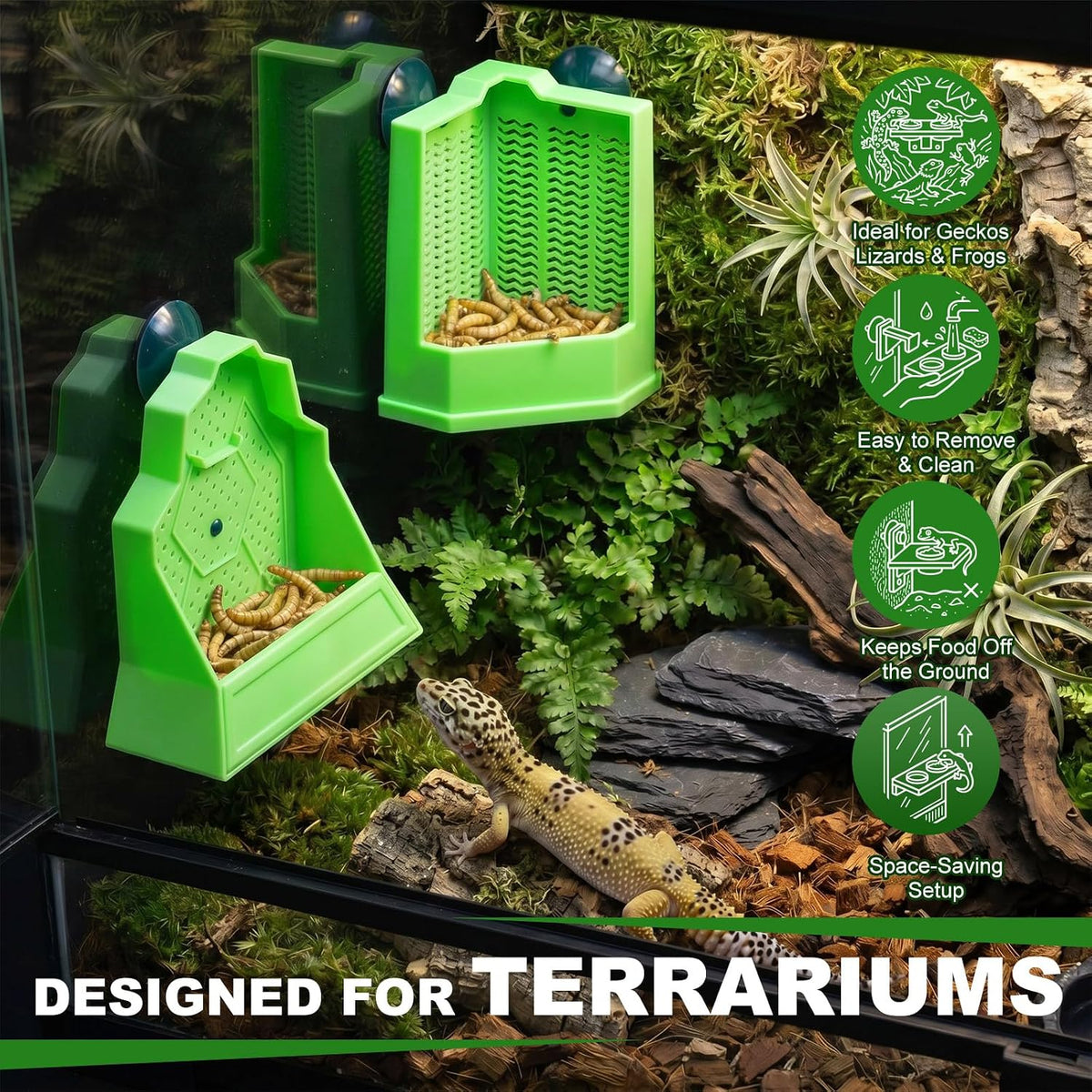 Reptile Feeder Combo Set, 2 Pack Bowls with 2 Pack 10.6" Tongs