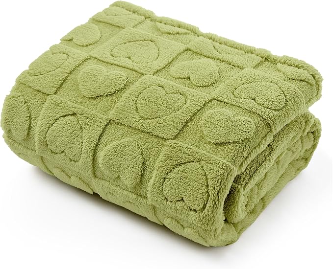 Bedsure Dog Blanket for Large Dogs Washable by BEDSURE