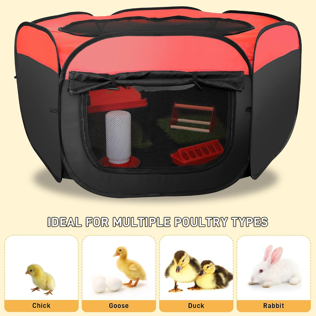 Chick Starter Kit 6-in-1 Chicken Brooder Box with 12"*12" Heating Plate