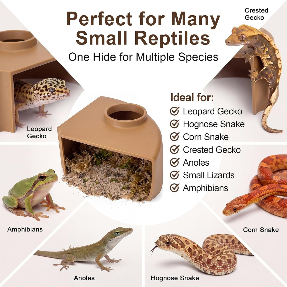 Reptile Corner Underground Cave Viewing Hide-Leopard Gecko Tank Accessories