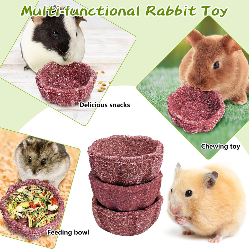 6 Pack Rabbit Chew Toys for Teeth Natural Guinea Pig Toys