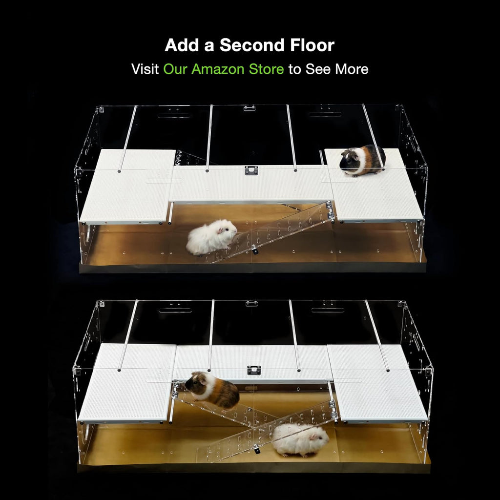 GuineaLoft™ Model-A3Loft 2-Level Acrylic Guinea Pig Cage w/Loft