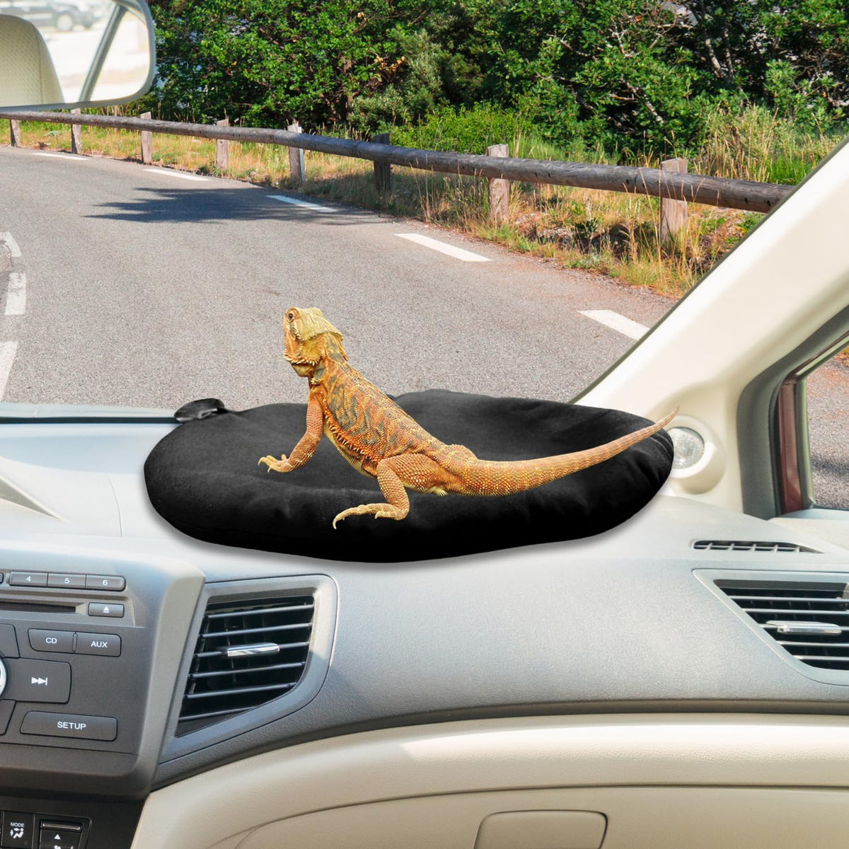 Bearded Dragon Bed Soft Mat with Suction Cup for Travel, Black