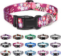 Mercano Adjustable Dog Collar by Unknown