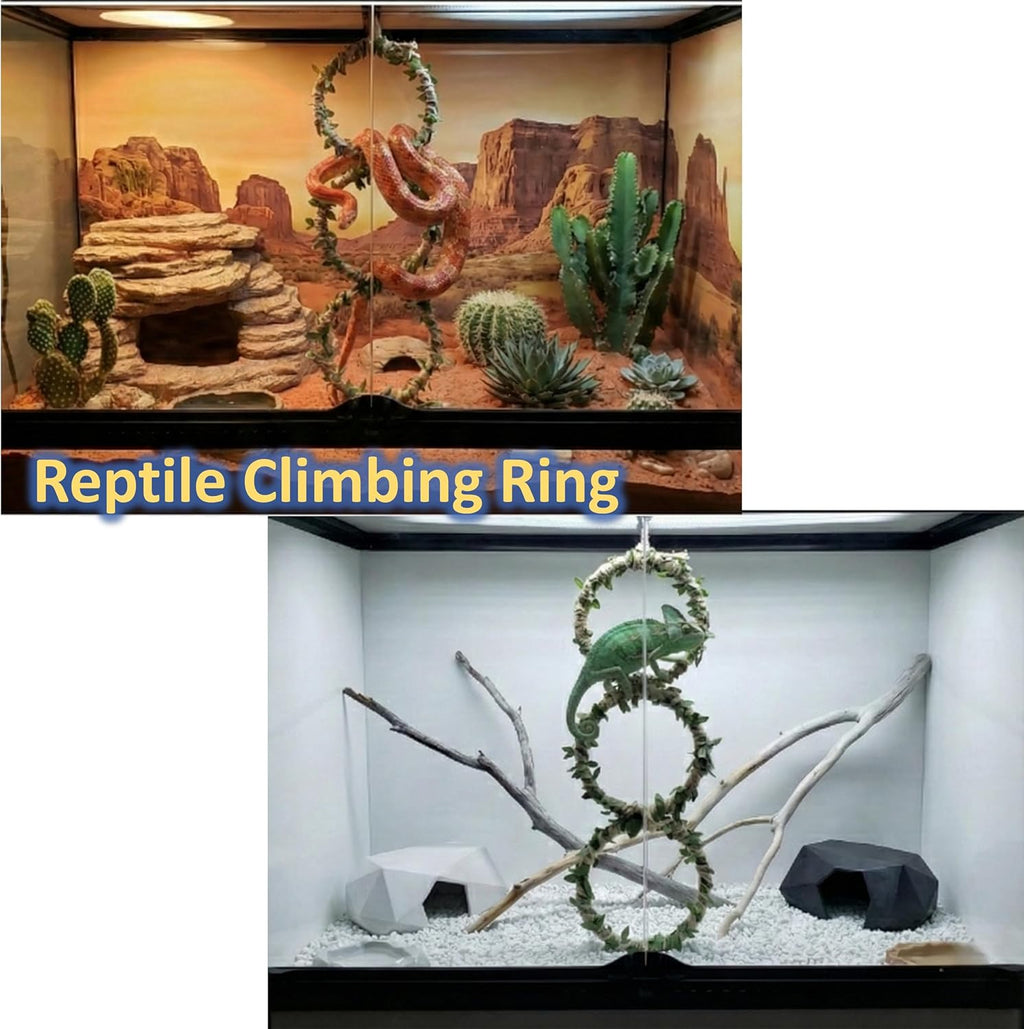 3-Tier Snake Climbing Rings for Ball Python - Natural Jungle Vine Enclosure Accessories, Reptile Habitat Decor, Hanging Enrichment Toys for Corn Snakes, Geckos, and Small Lizards
