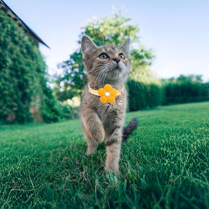 Cat Collar, HYQHYX Breakaway Kitten Collar - Image 8