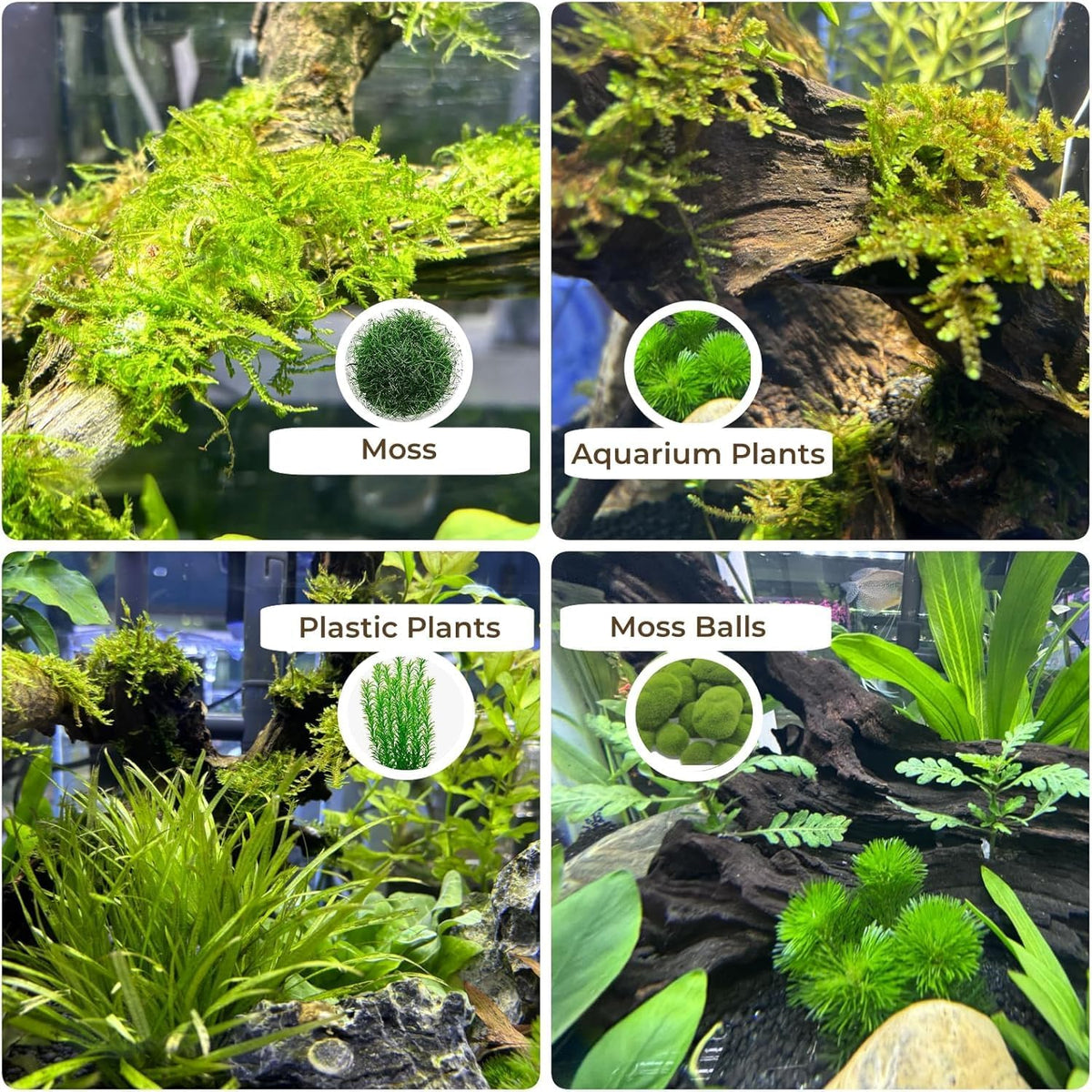 Natural Small Aquarium Coral Driftwood Decorations Fish Tank Decor