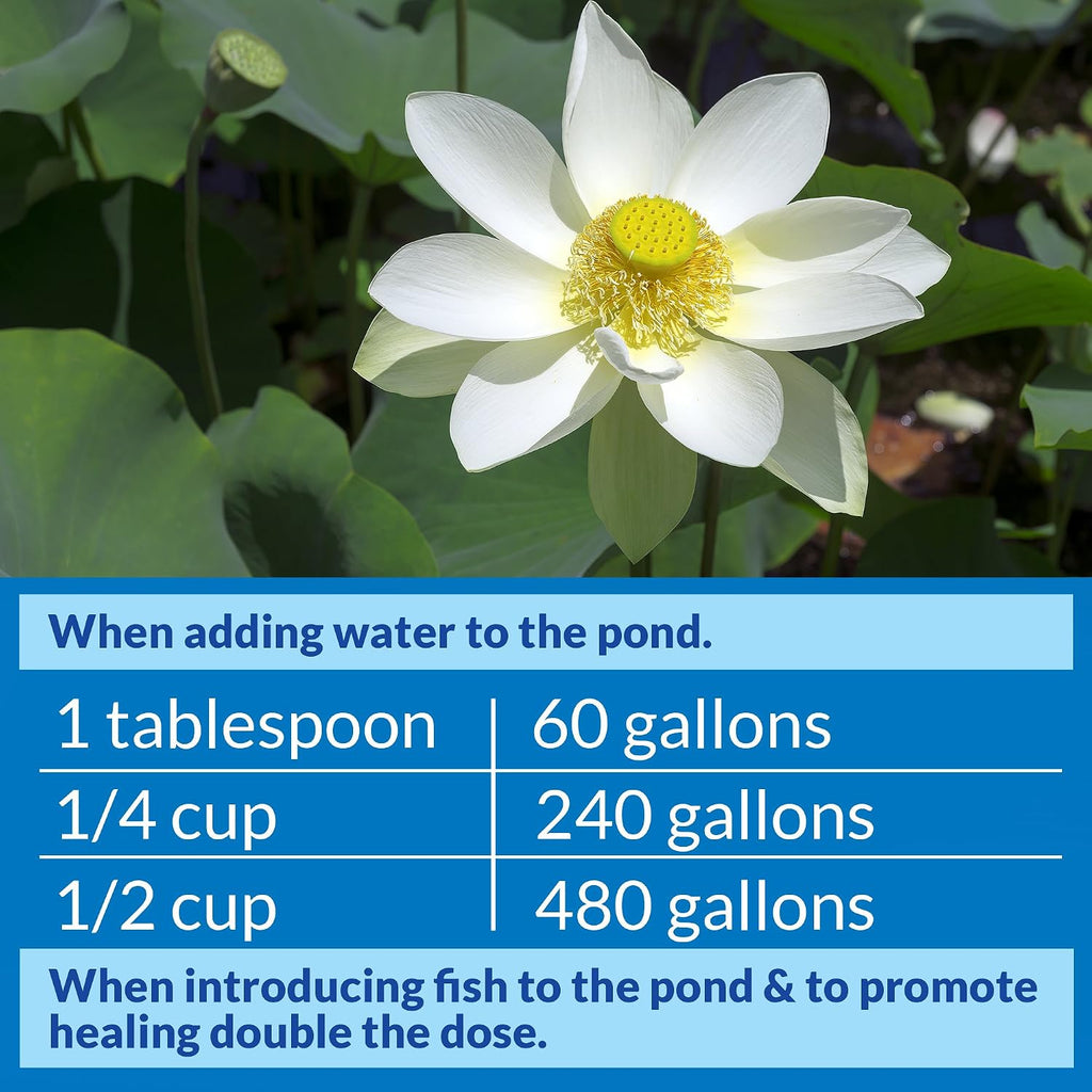 API POND STRESS COAT (64 fl oz) Pond Water Conditioner - Quickly Makes Tap Water Safe for Fish & Plants - Up to 7680 Gallons - Removes Chlorine, Ammonia & More - Natural Aloe Vera