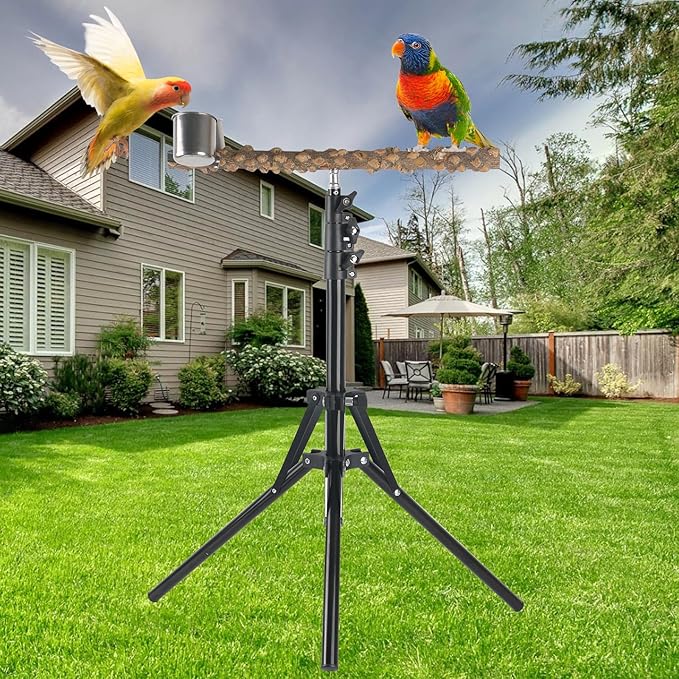 Adjustable Bird Perch Stand, 16-62 Inch Height Adjustable Bird Training Perch - Image 4