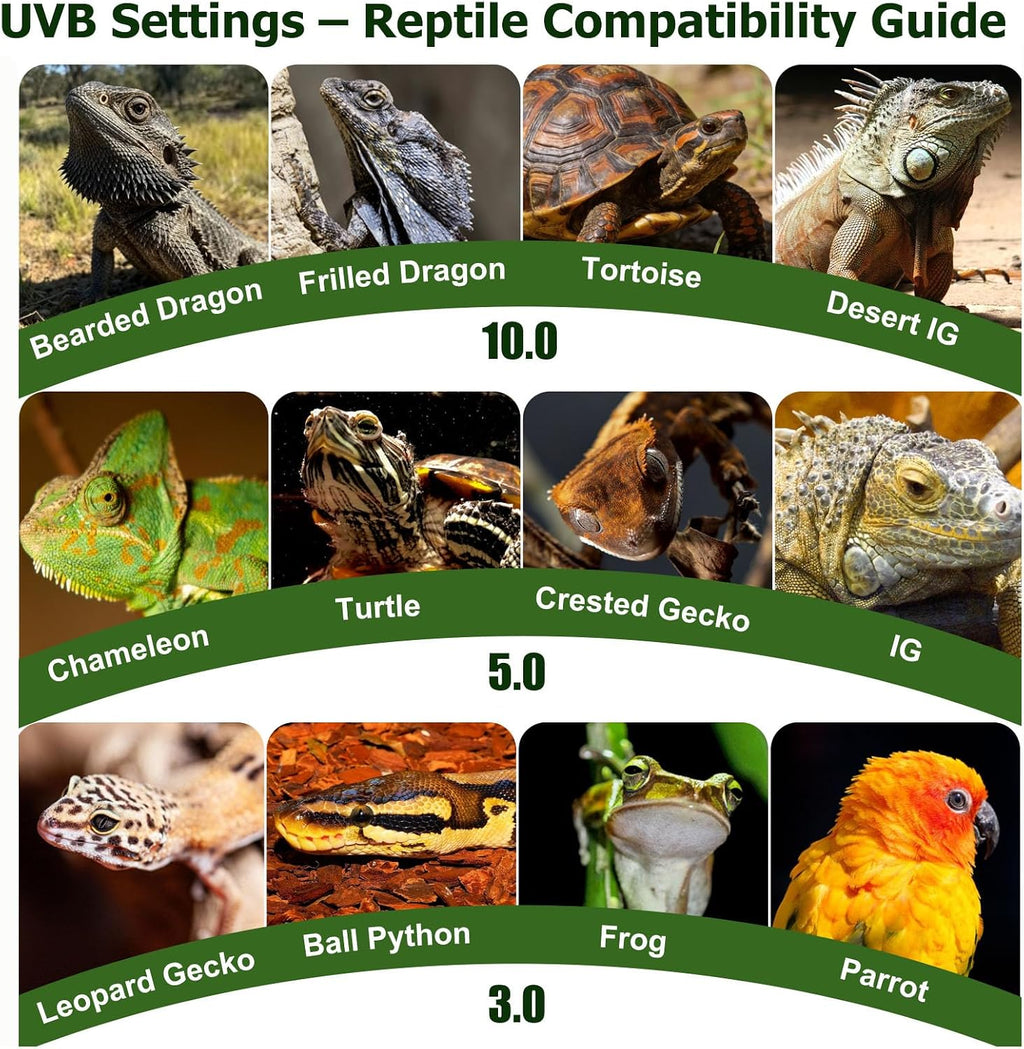 UVB Light for Reptiles Separate UVB & Daylight 10W HO UVB LED Lamp