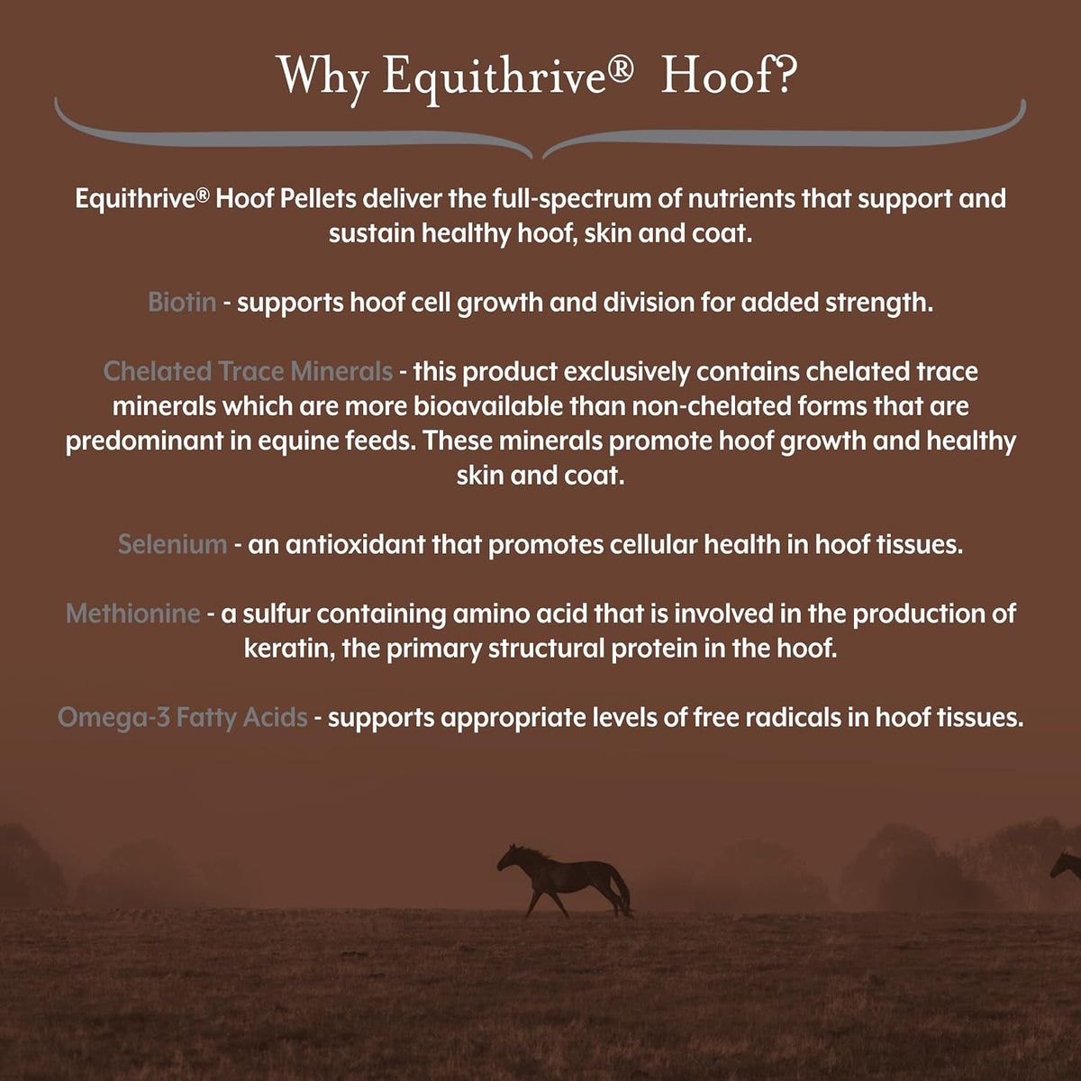 Equithrive Hoof Care Pellets Horse Supplement, 3.3 lbs