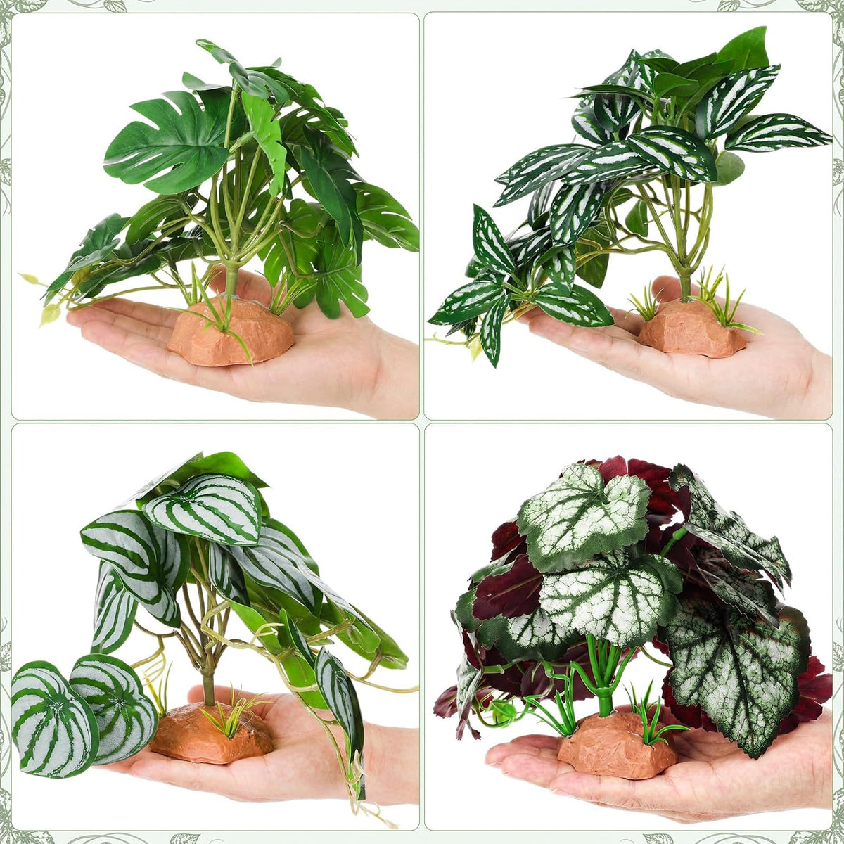Suncalla 4 Pack Reptile Plants for Terrarium, Multiple