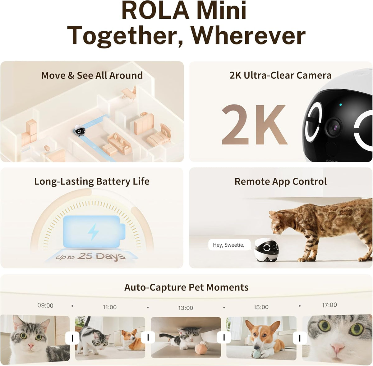 Enabot EBO ROLA Mini Pet Camera Robot: Mobile Pet Companion with 2K Camera