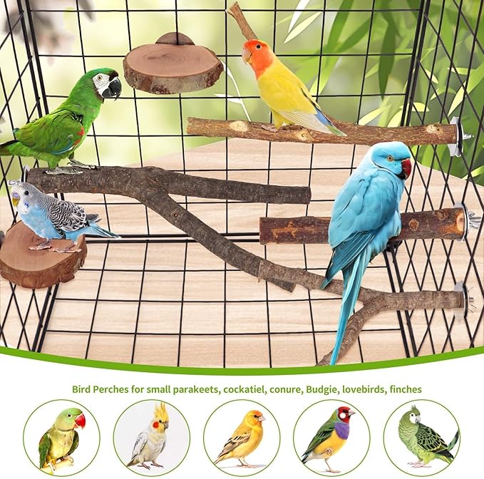 12PCS Natural Wood Bird Perches - Image 7