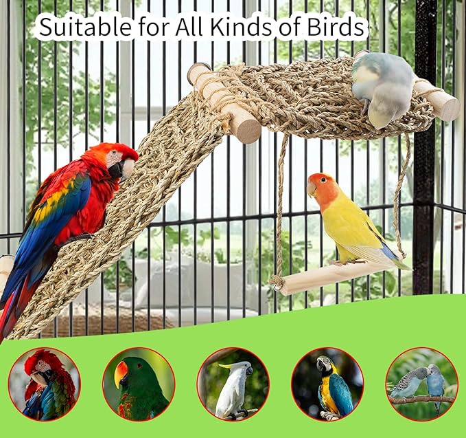 FlidRunest Bird Perch Platform Swing - Image 4