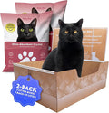 Kitty Poo Club Leakproof Disposable 2-Pack Cat Litter Box by KittyPooClub