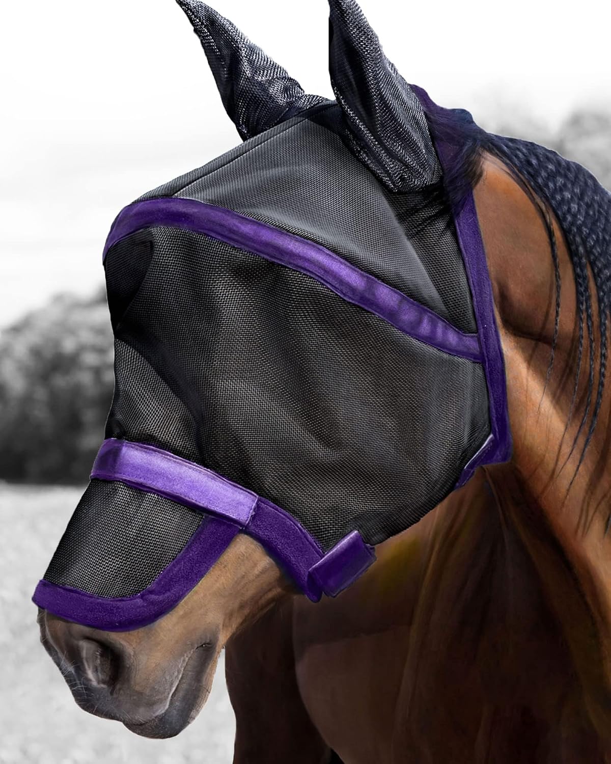 Harrison Howard Maskology Supreme Nylon Framework Micro-Woven Material UV-Proof Horse Fly Mask Black Purple (Cob)