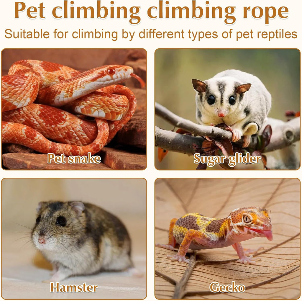 Reptile Climbing Rings 2-Pack, Suction Cup Mounted Tank Decor for Snakes, Bearded Dragons, and Lizards, Habitat Enrichment Accessory