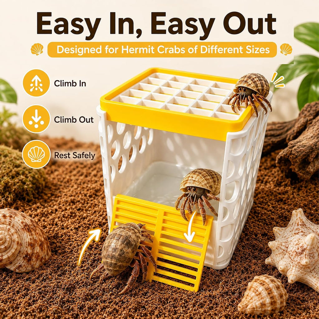 Hermit Crab Bath Pool, Hermit Crab Pool with Detachable Non-Slip Ramp, 2-in-1 Bathing & Feeding Terrarium Habitat Accessory, 3D Printed Anti-Drowning Crawler Basin, Durable Easy Clean Indoor Pet Tank
