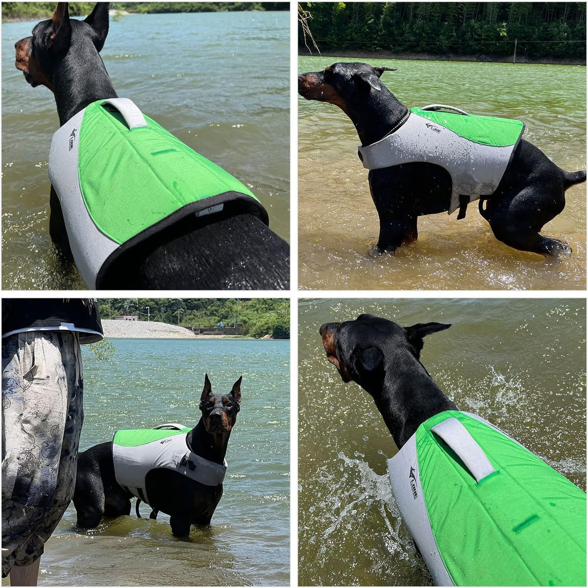 Dog Life Jacket, Sport Style Dog Float Coat with Excellent Buoyancy, Stylish Dog Swimming Safety Vest with Rescue Handle for Small Medium Large Dogs Green XL
