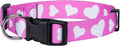 Native Pup Valentine’s Dog Collar- Valentines Day Pet Collars- Valentine Girly by NativePup