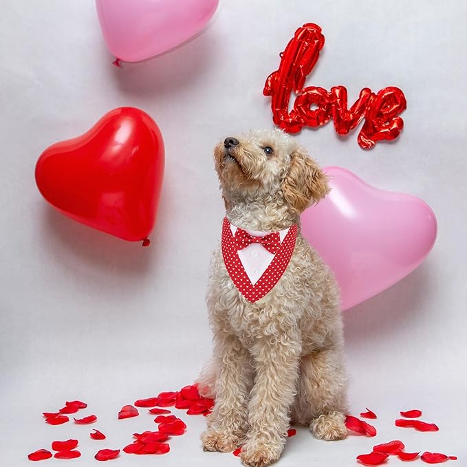ADOGGYGO Valentine Dog Tuxedo Bandana - Image 3