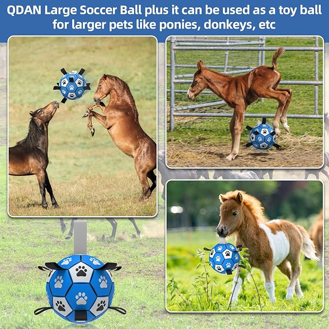 QDAN Extra Large Dog Toys Soccer Ball - Image 5
