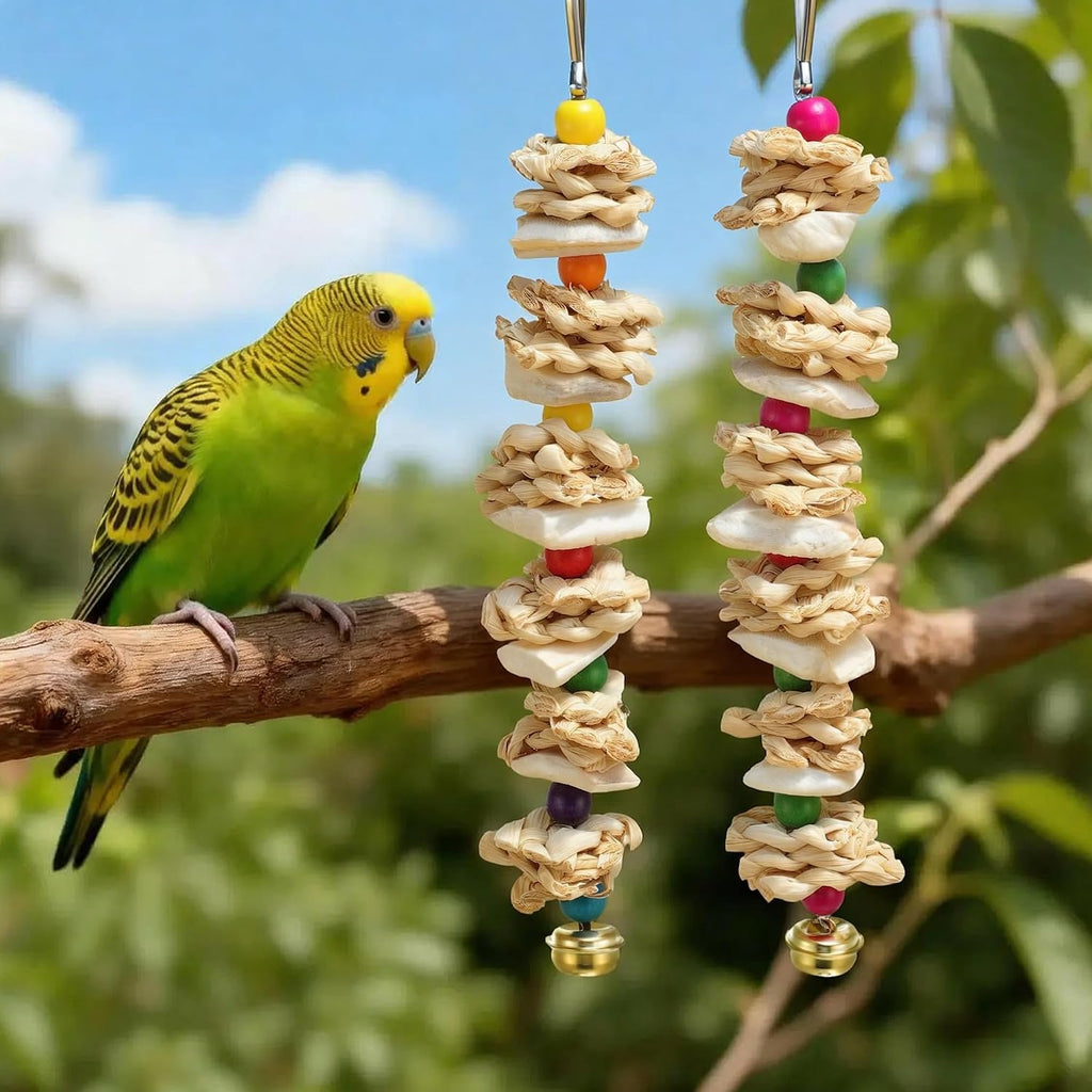 Bird Toys with Cuttlebone, Grinding Stone for Bird, 2 Pcs, B