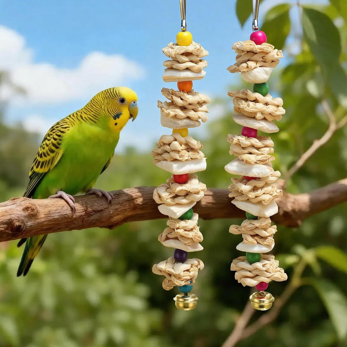 Bird Toys with Cuttlebone, Grinding Stone for Bird, 2 Pcs, B