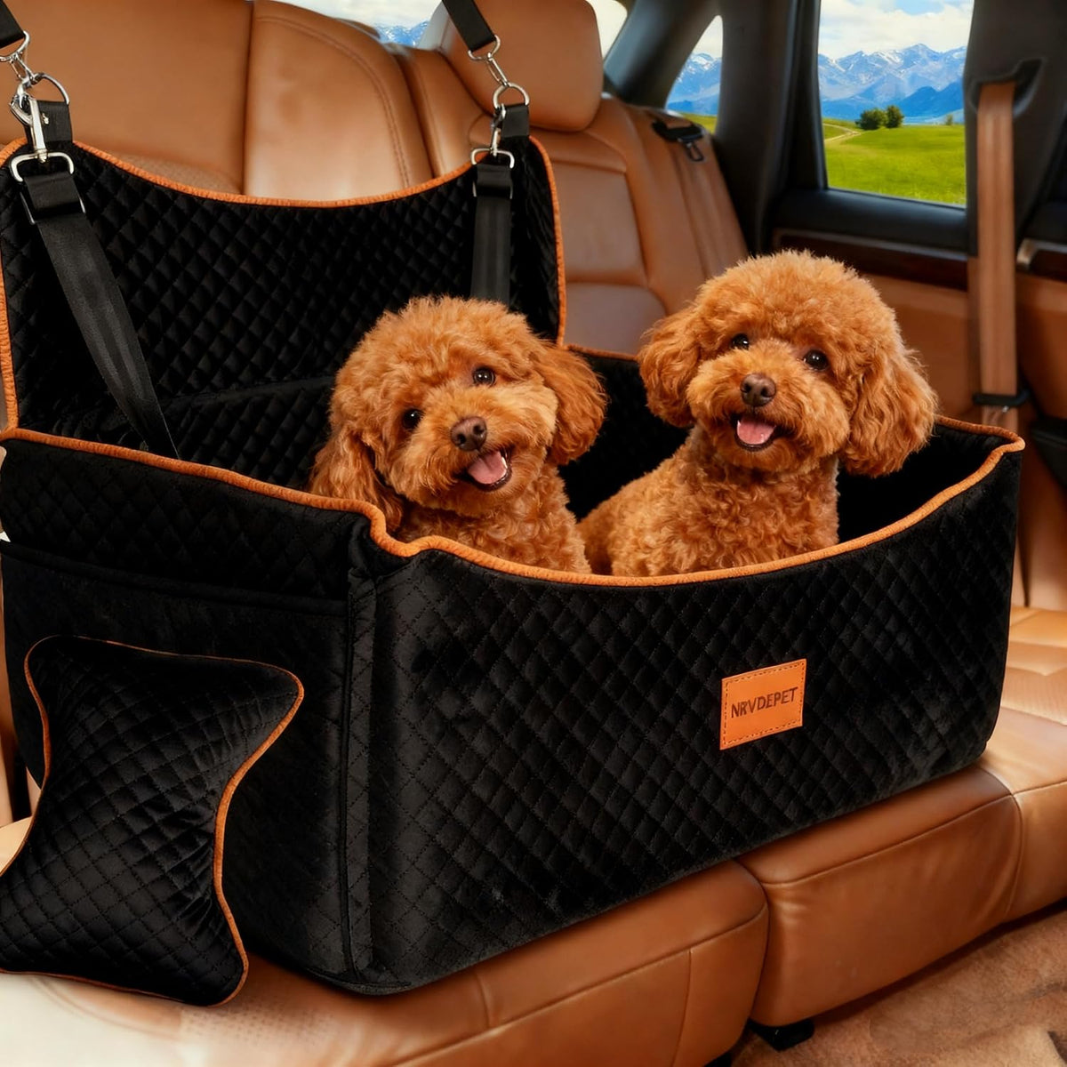 Dog Car Seat for Medium Dogs or 2 Small Dogs, Memory Foam Booster with Bonus Pillow & Removable Washable Cover, 2 Safety Leashes, Anti-Slip Base - Supports 50lbs (Black)